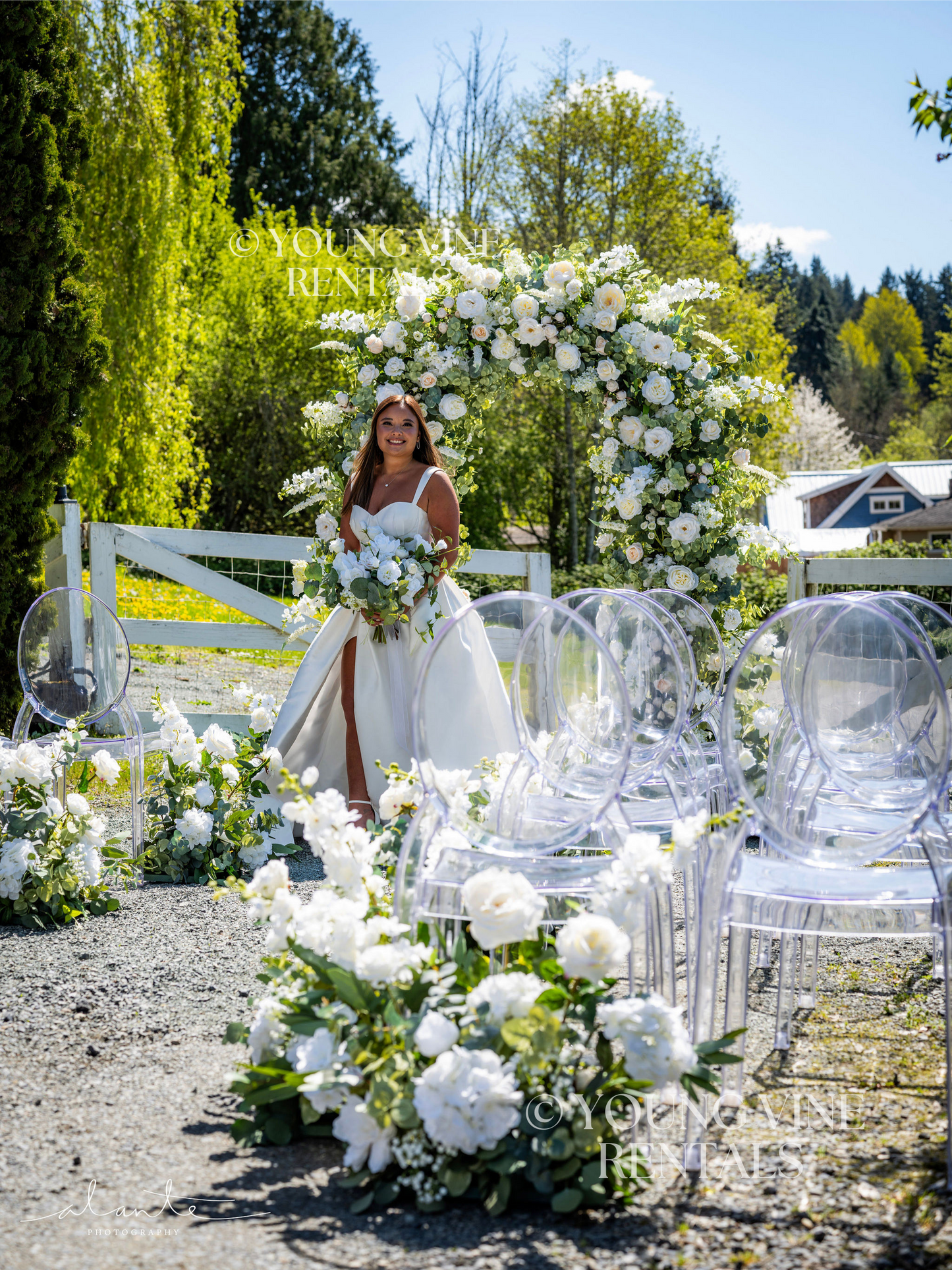 The Aster Aisle Flowers (12x)