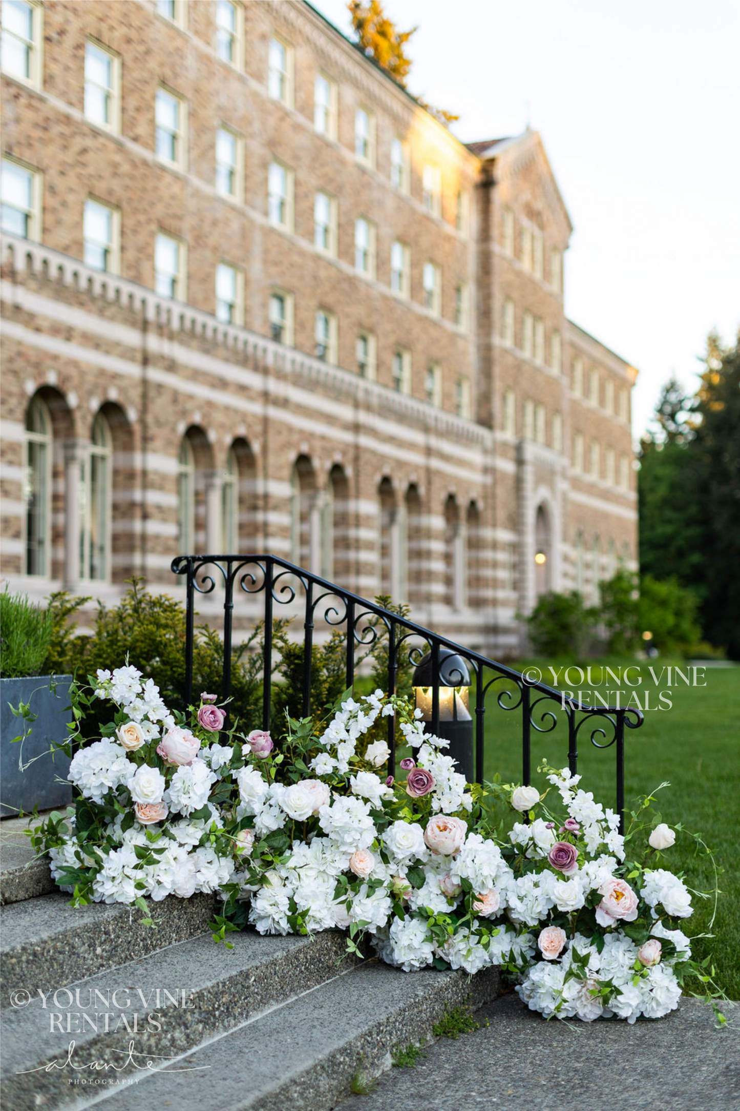 The Remy Aisle Flowers (12x)