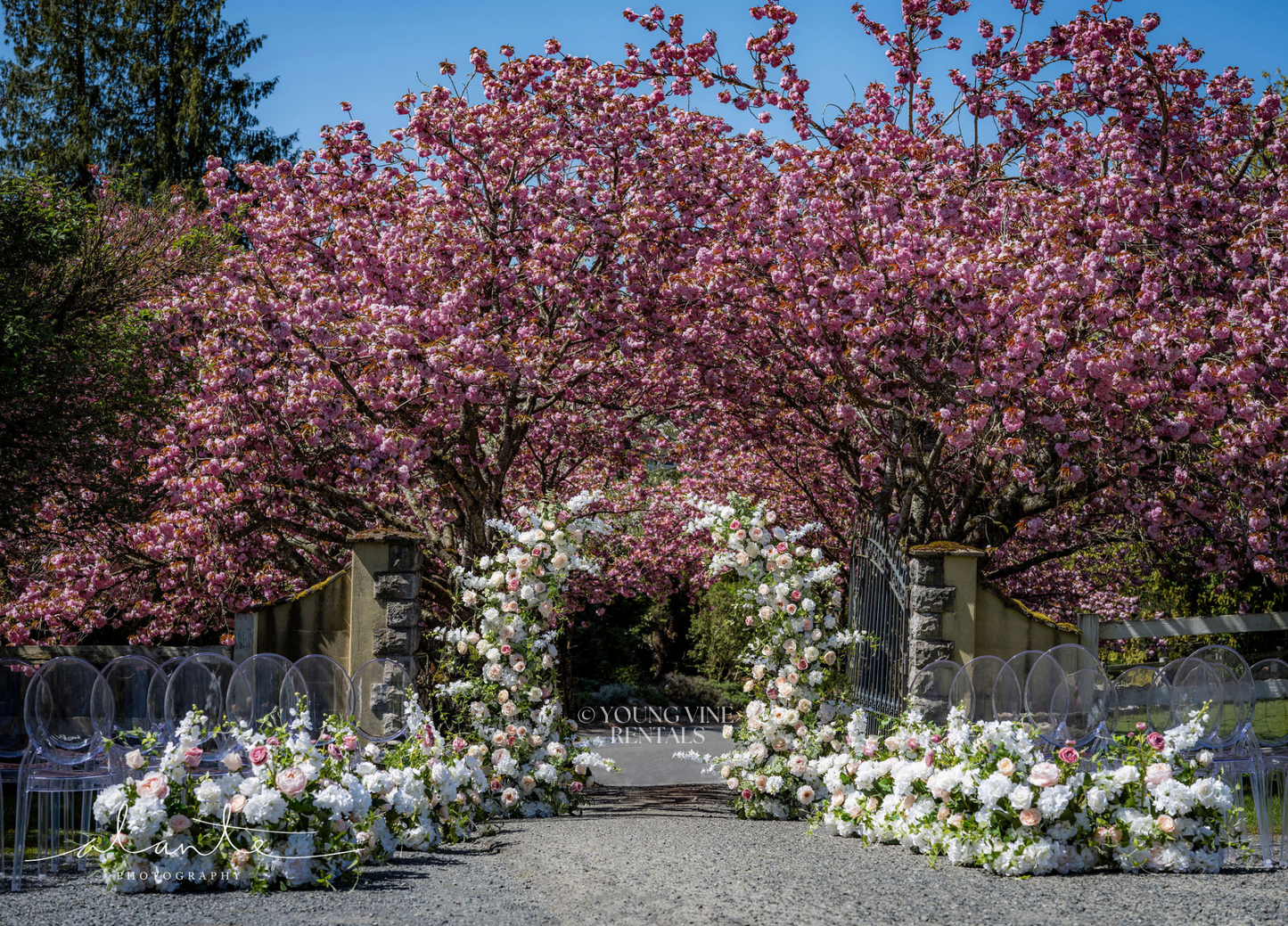 The Remy Aisle Flowers (12x)