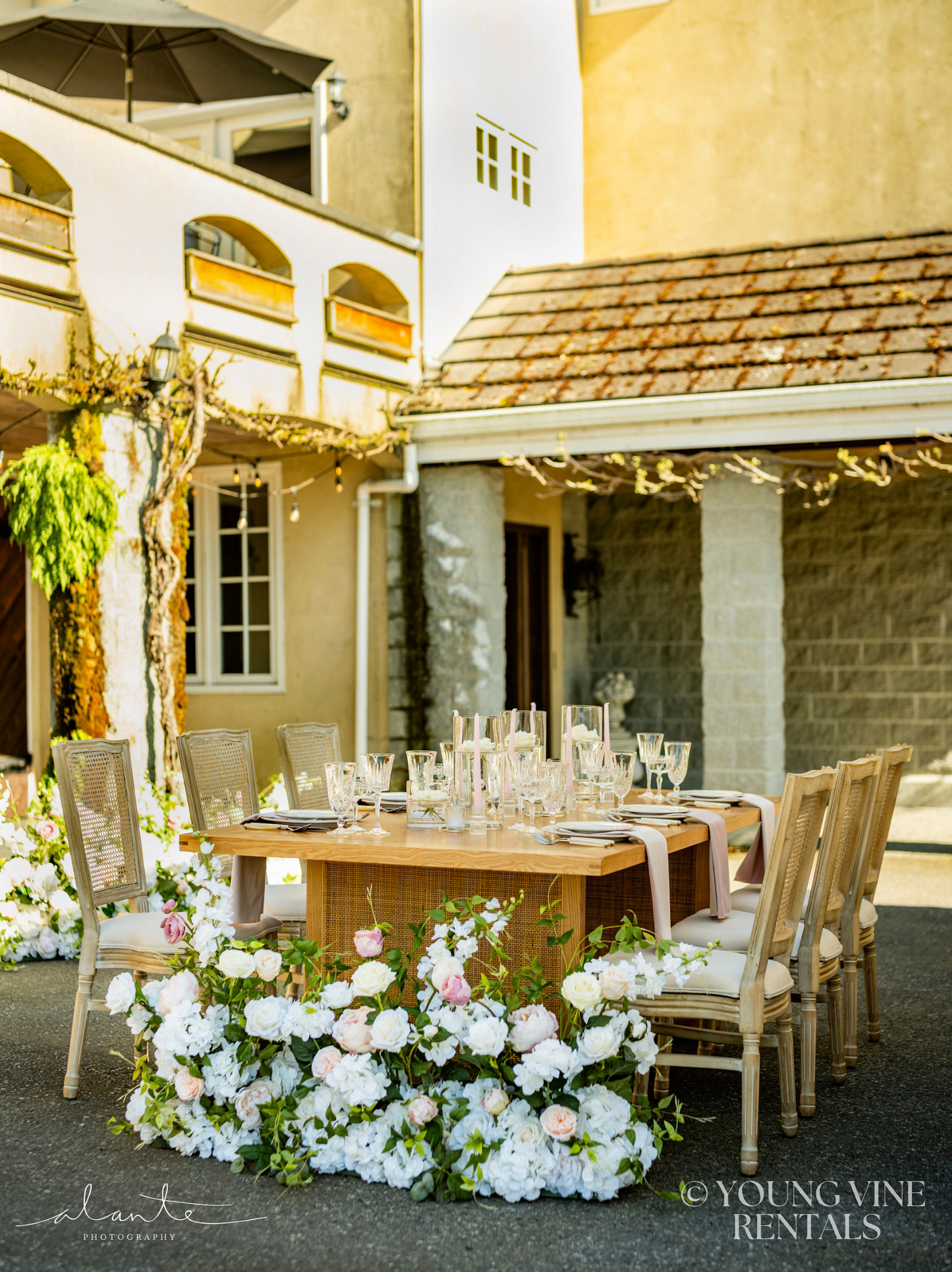 The Remy Aisle Flowers (12x)