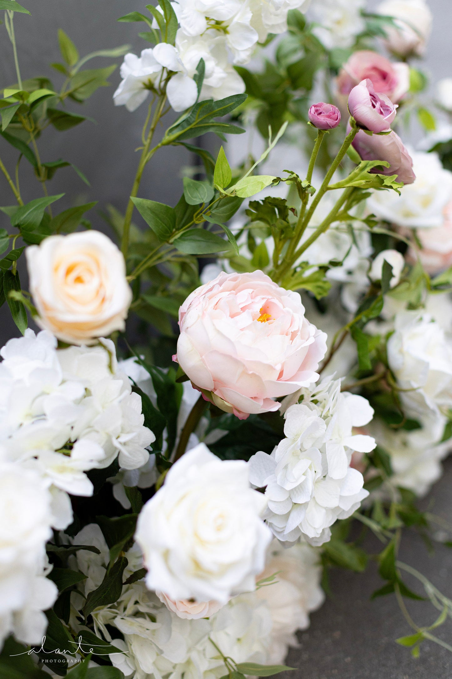 The Remy Aisle Flowers (12x)
