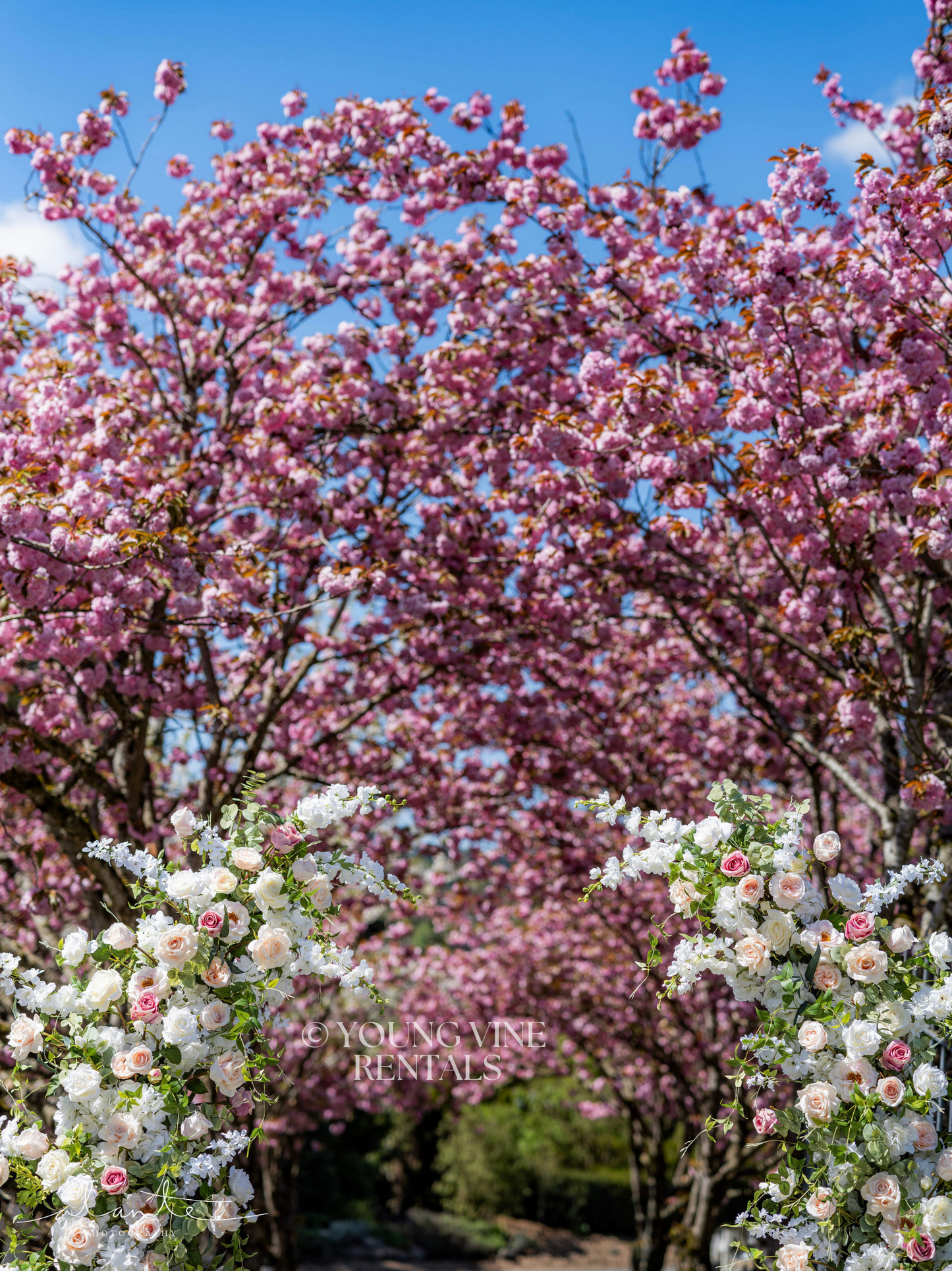 The Remy Floral Pillars